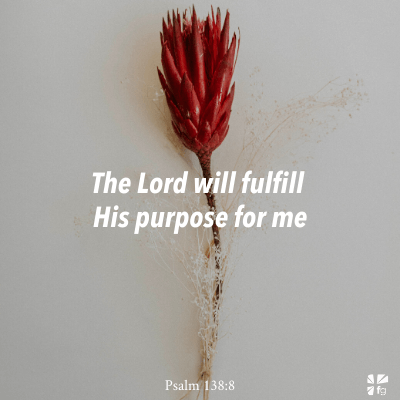 You Are Not an Accident – FaithGateway