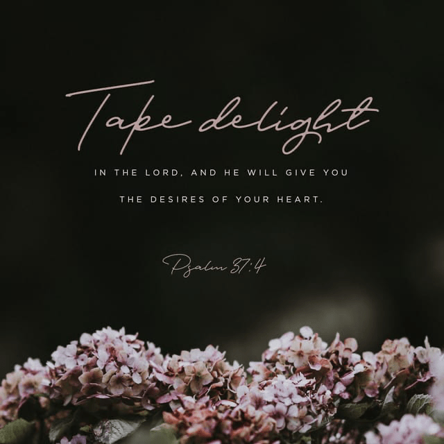 Youversion VotD – January 22, 2020 – Psalms 37:4 NIV